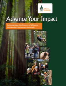 Thumbnail image of the Advance Your Impact flyer cover image. 