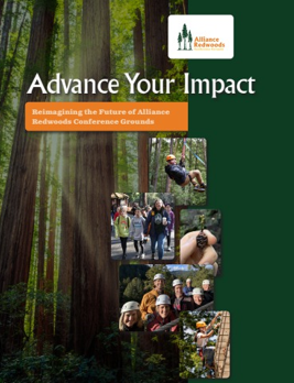 Thumbnail image of the Advance Your Impact flyer cover image.