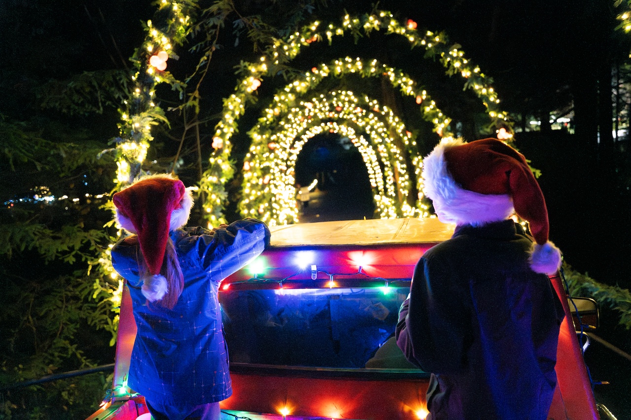 Christmas in the Redwoods