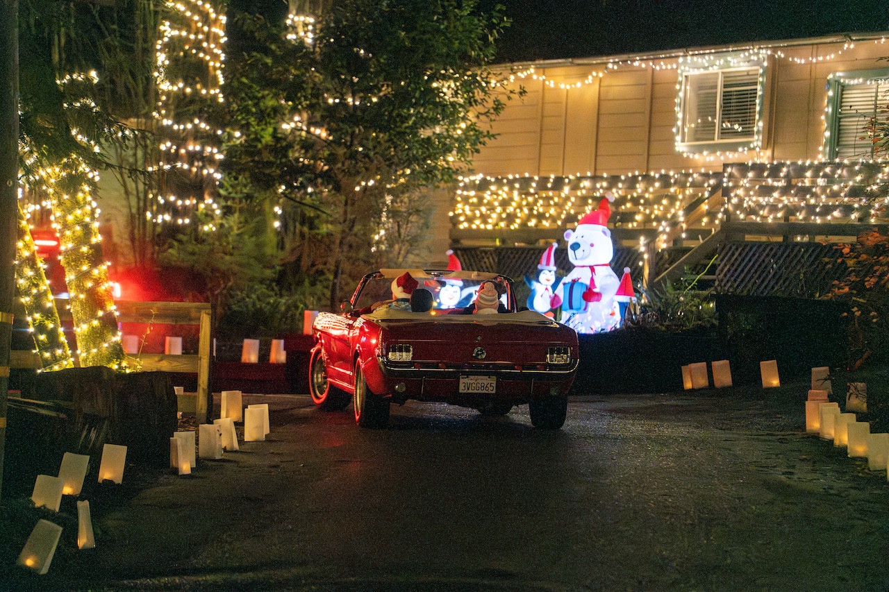 Christmas in the Redwoods