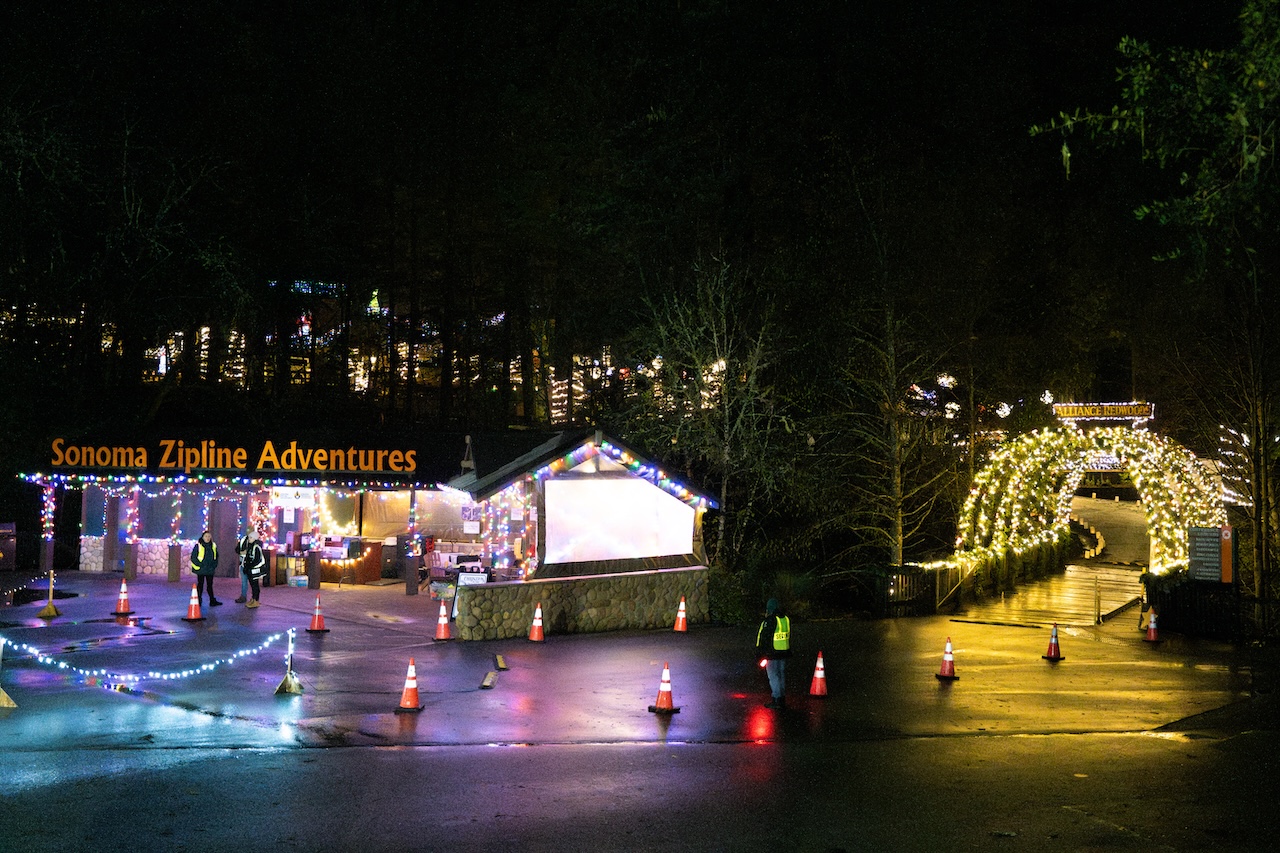 Christmas in the Redwoods