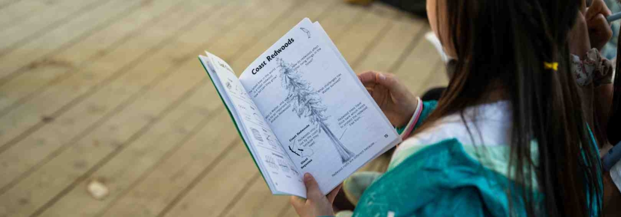 education and environment