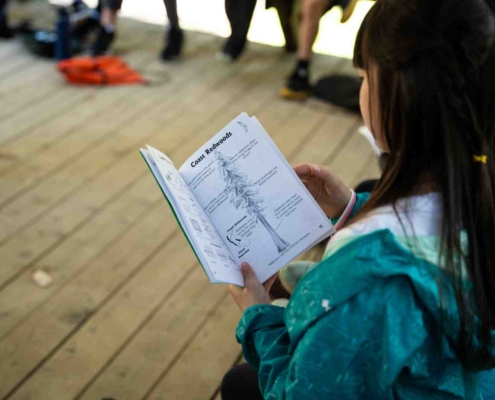 education and environment