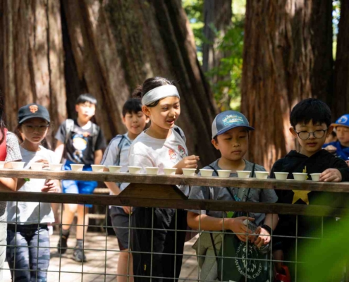 outdoor education in california