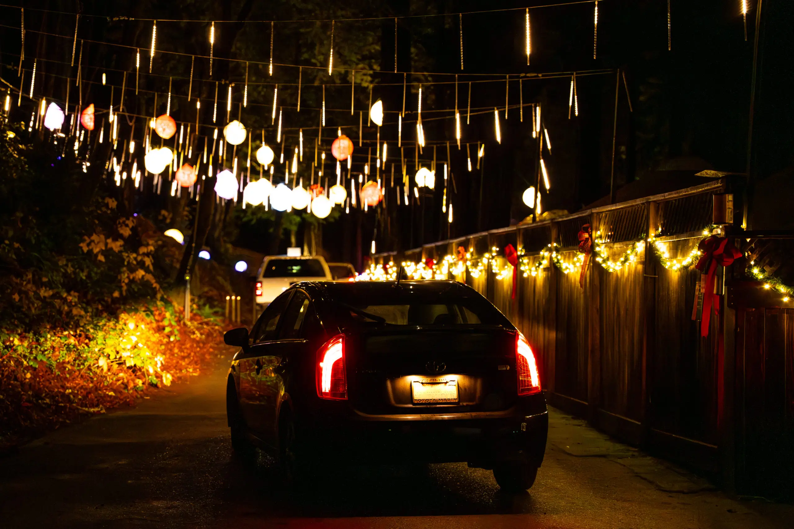 Christmas in the Redwoods