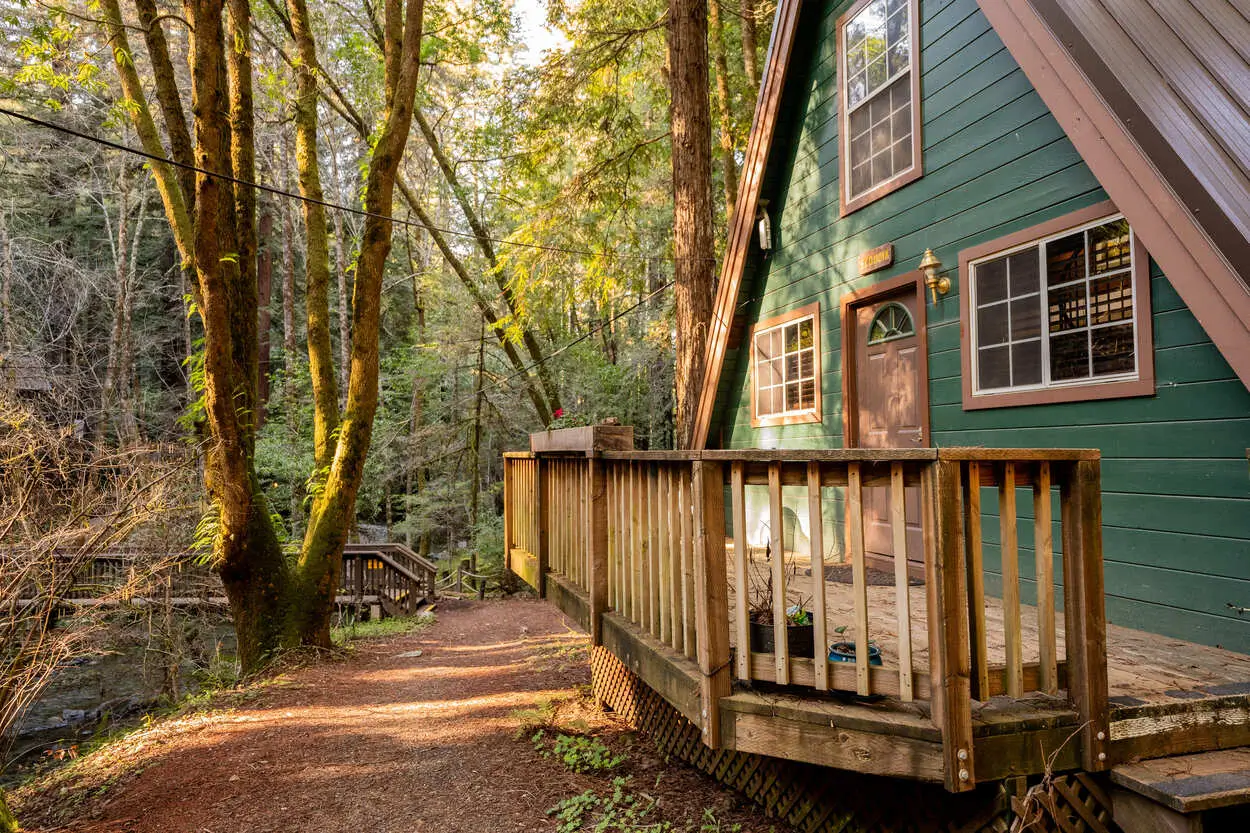 DSC08549-1 (1) Green cabin nestled among tall redwood trees.