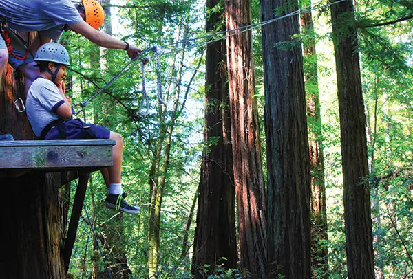 A person wearing a helmet and harness preparing to go down a rope swing through tall redwood trees