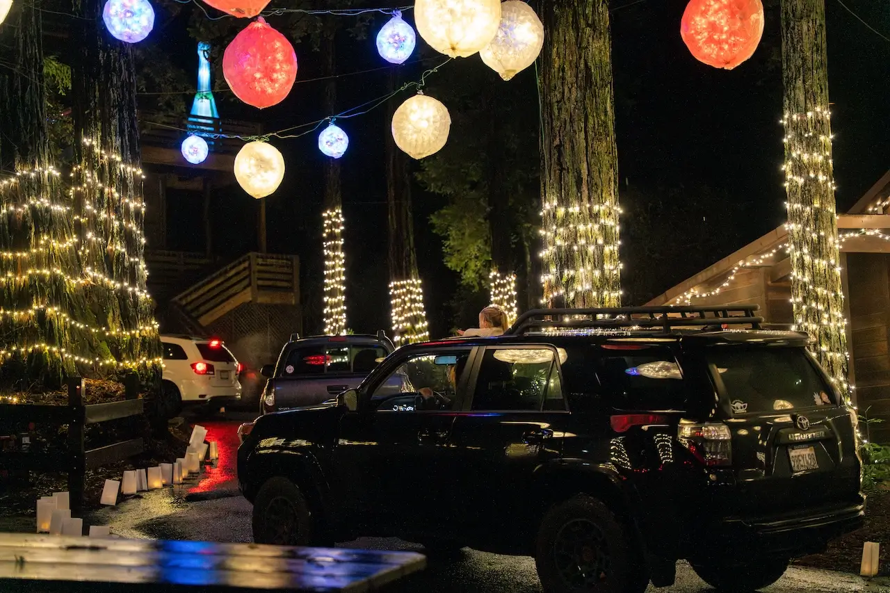 Christmas in the Redwoods