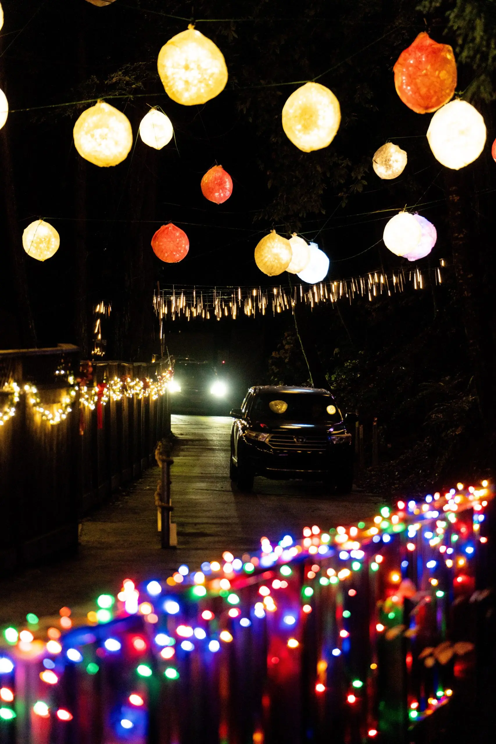 Christmas in the Redwoods