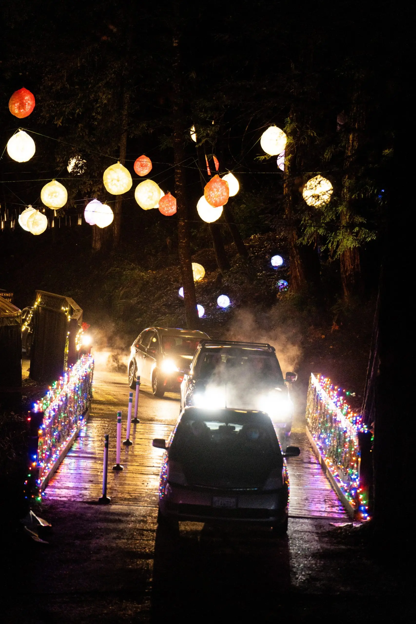 Christmas in the Redwoods