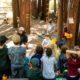 youth outdoor education programs California