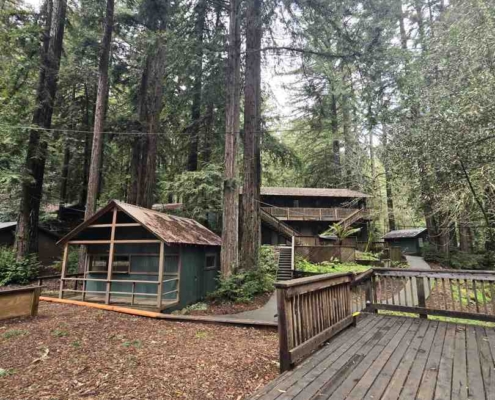 group cabin rentals in the Redwoods
