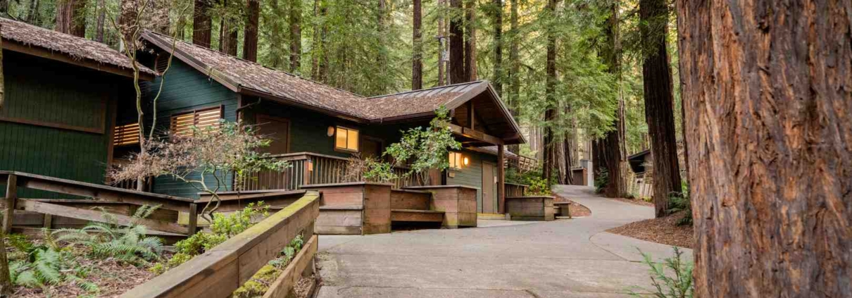 cabin rentals in the Redwood forest