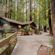 cabin rentals in the Redwood forest