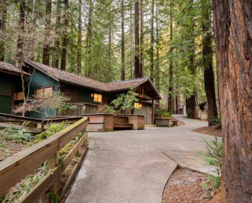 cabin rentals in the Redwood forest