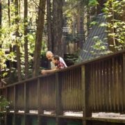 group walking through a sun-dappled Redwood grove - group retreats in the Redwoods