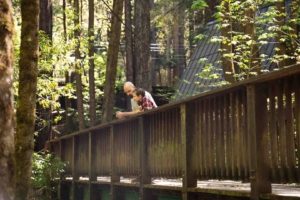group walking through a sun-dappled Redwood grove - group retreats in the Redwoods
