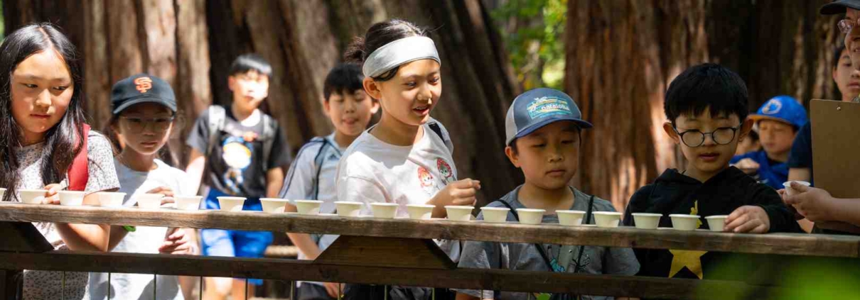 Sonoma County NGSS outdoor education students in redwood forest