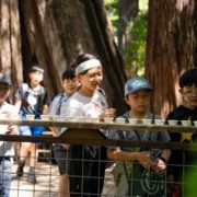 Sonoma County NGSS outdoor education students in redwood forest