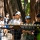 Sonoma County NGSS outdoor education students in redwood forest