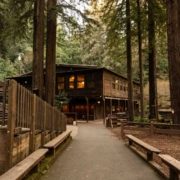 redwood retreat