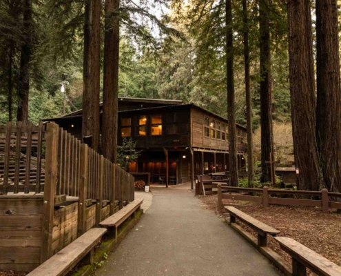 redwood retreat