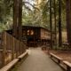 redwood retreat