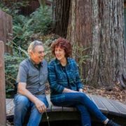 Redwood treehouse retreat