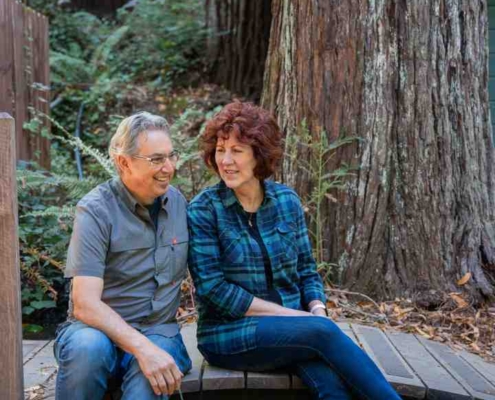 Redwood treehouse retreat