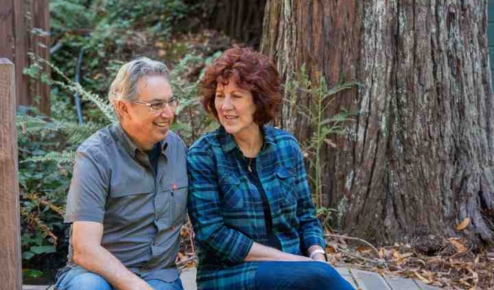 Redwood treehouse retreat