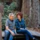 Redwood treehouse retreat
