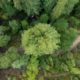 nature deficit disorder
