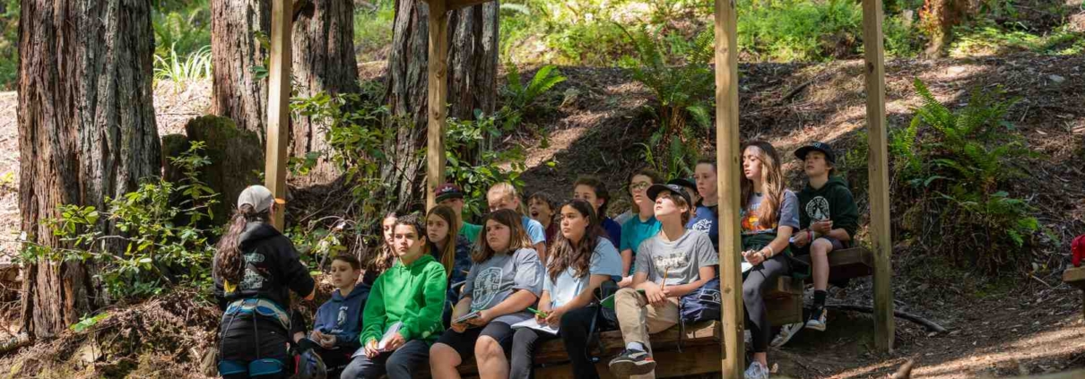 outdoor ed courses students learning in coastal redwood forest - outdoor ed courses