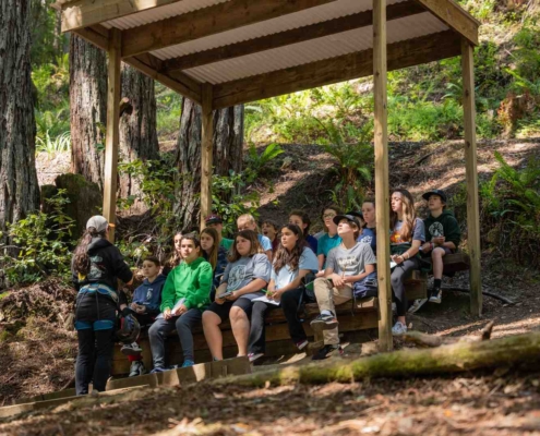 outdoor ed courses students learning in coastal redwood forest - outdoor ed courses